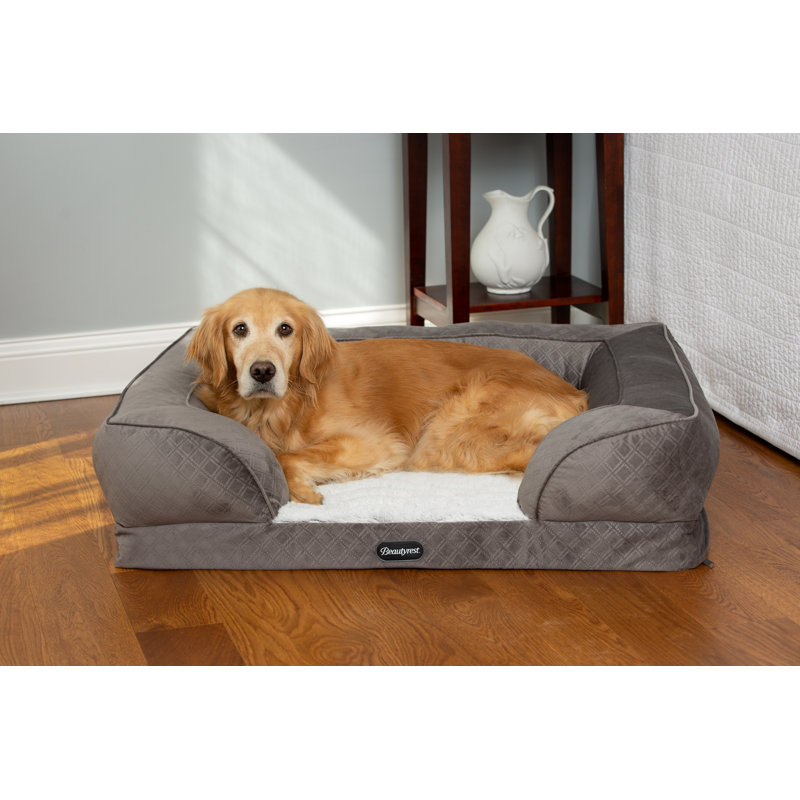 Beautyrest Supreme Comfort Couch Pet Bed & Reviews Wayfair